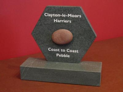 Bespoke (Sandblasted) Engraved Slate Trophy